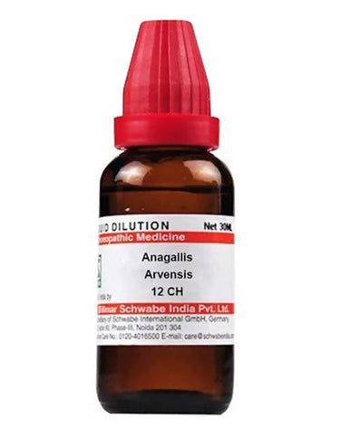 https://cdn.shopify.com/s/files/1/1857/6931/products/KR8fkoE9kG.jpg?v=1640930360